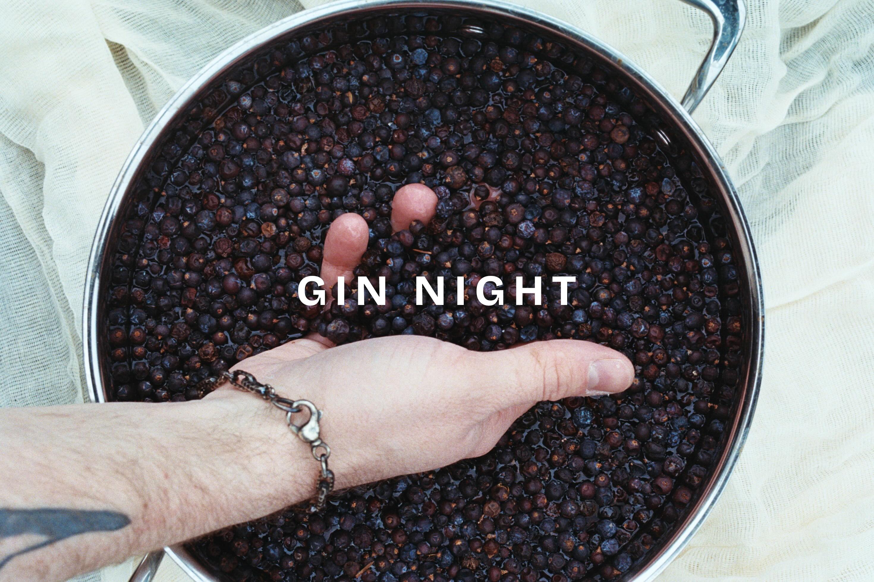 Gin Spirited Dinner @ The Shipwright's Daughter - 5PM on 11/8